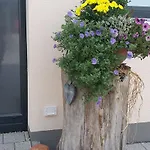 호텔 Lohauserhof - Biohof Und Rohrmoos