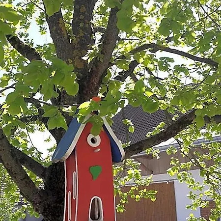Lohauserhof - Biohof Und 4* Rohrmoos