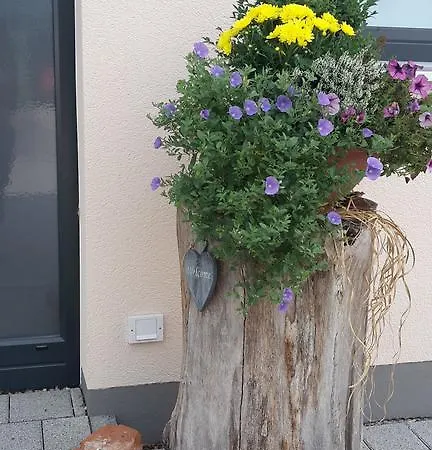 호텔 Lohauserhof - Biohof Und Rohrmoos